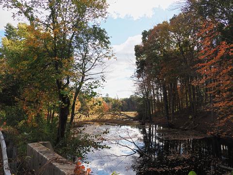 Fall in Littleton, MA