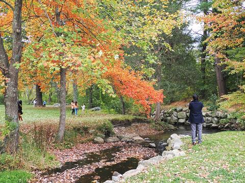 Fall at the Wayside Inn #2