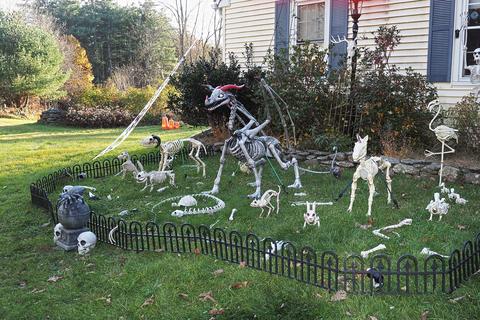 Skeleton critters