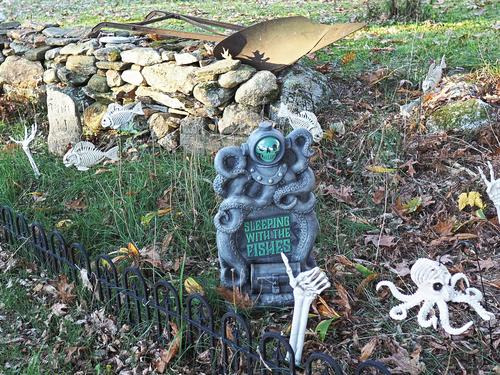 Sleeping with the fishes