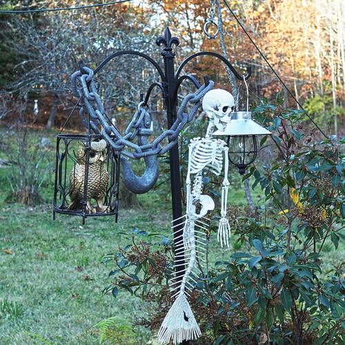 Owl and mermaid skeleton