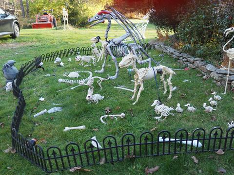 Skeleton critters #3