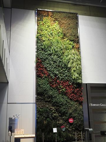 Vegetation mural