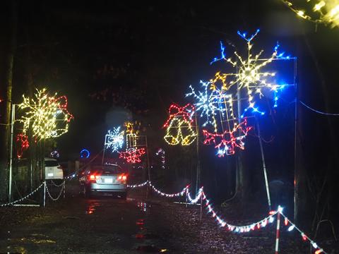 Lancaster Celebration of Lights #4