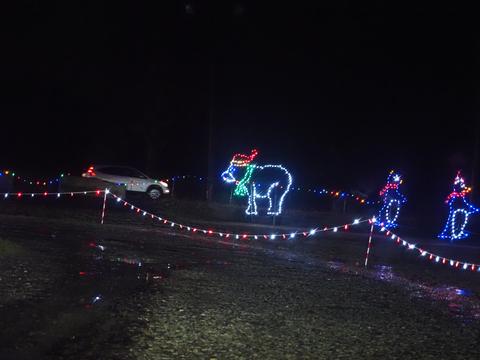 Lancaster Celebration of Lights #12