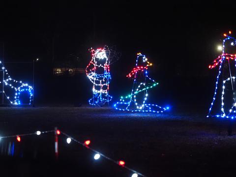 Lancaster Celebration of Lights #13