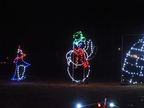 Lancaster Celebration of Lights #14