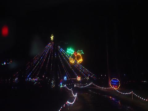 Lancaster Celebration of Lights #16