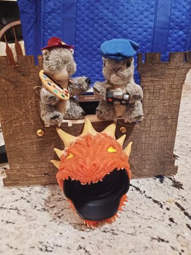 Dragon camera with squirrels