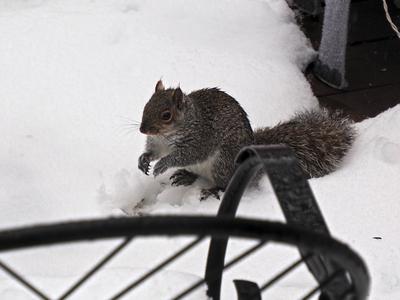 Maybe I will make a snow-person