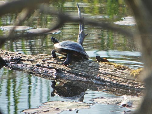 Hey, can I join you?