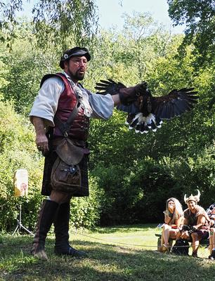 Coming in for a landing