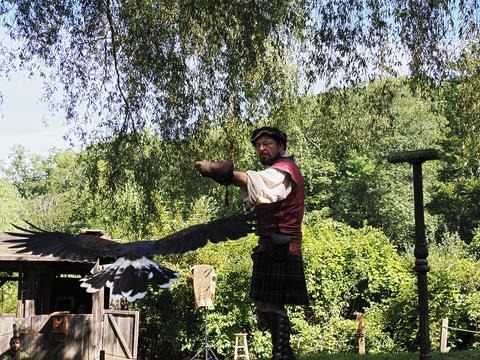 Coming in for a landing #2