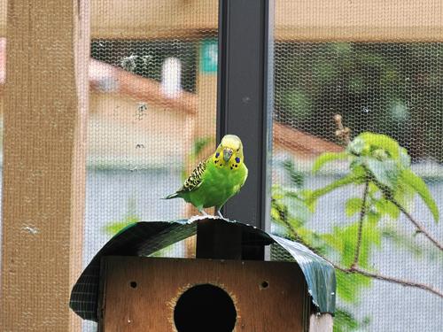 I'm looking at you #2