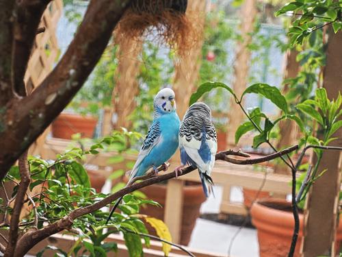 Are you listening to me?