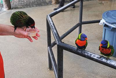 Did you hear the latest gossip?