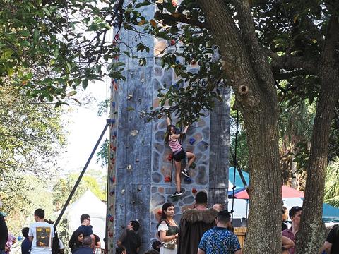 Climbing wall