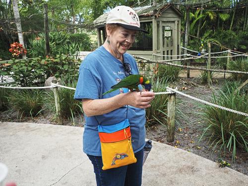 Liz with lorikeet