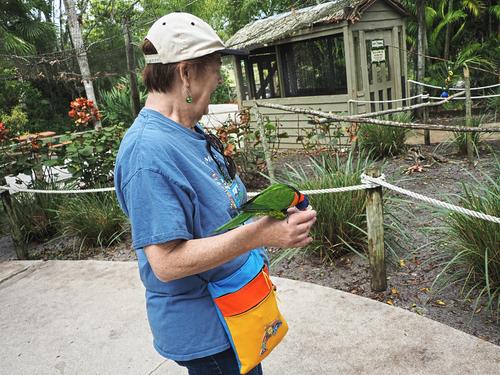 Liz with lorikeet #2
