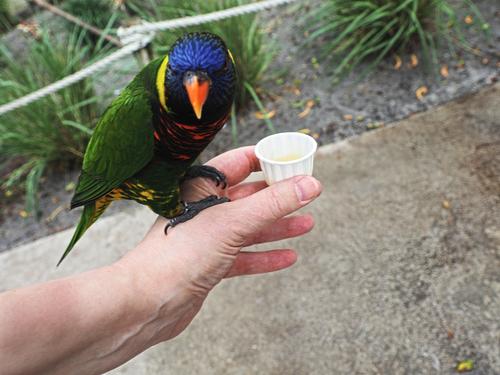 Do you have any more?