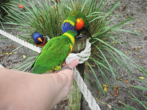 Hey, I want some also!