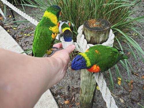 Hey, I want some also! #2