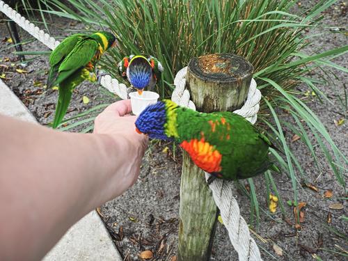 Hey, I want some also! #3