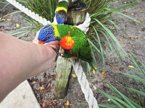 Don't bite the hand that feeds you