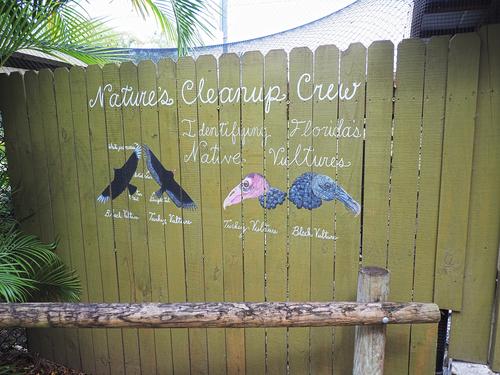 Nature's cleanup crew