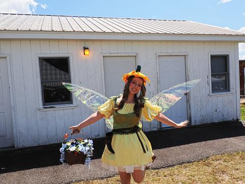 Fairy Costume