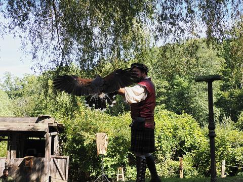 Coming in for a landing #3