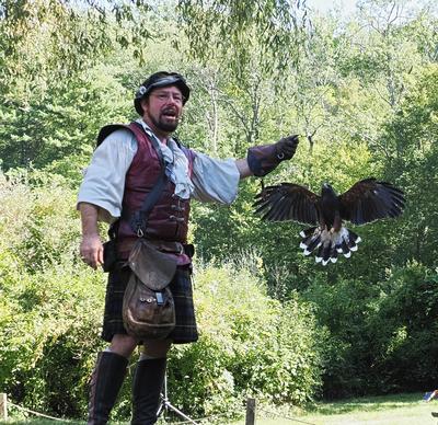 Coming in for a landing #4