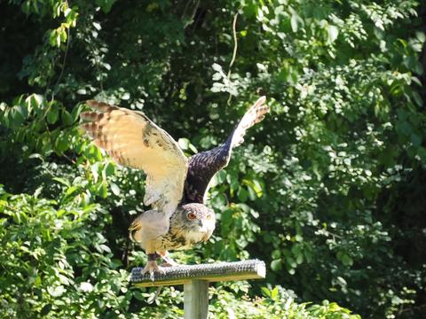 Ready for takeoff #2