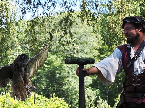 Coming in for a landing #6