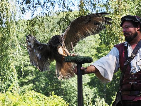 Coming in for a landing #7