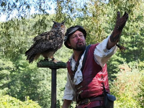 Fly to that perch #2