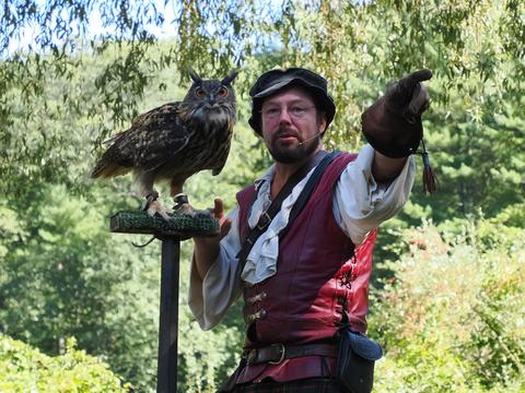 Fly to that perch #3