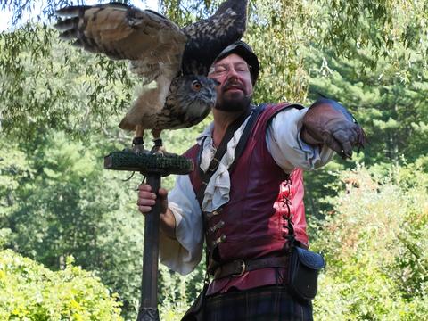 Fly to that perch #4