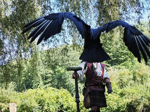 Coming in for a landing #8