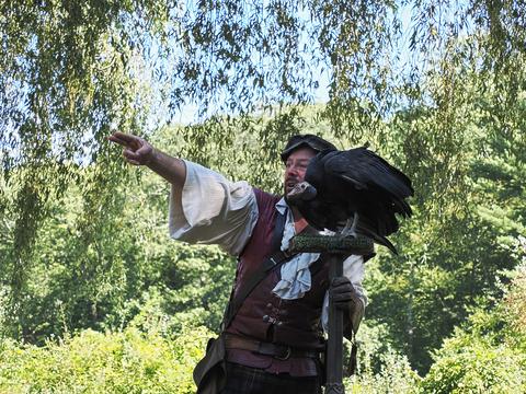 Fly to that perch #5