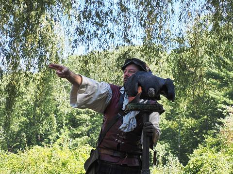 I'm going to fly to a different perch