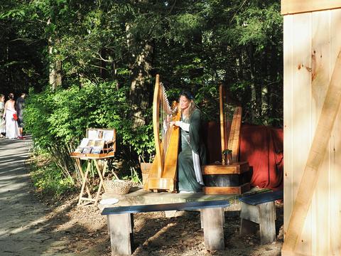 Kathleen Finnegan, Harpist