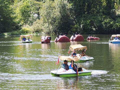 Paddle boats and dragon