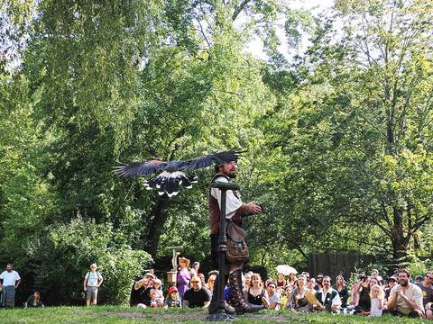 Coming in for a landing #10