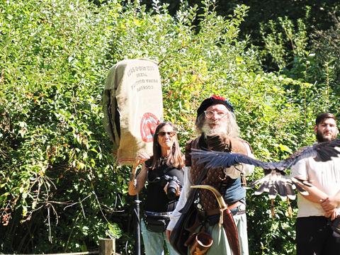 Coming in for a landing #12