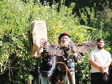 Coming in for a landing #13