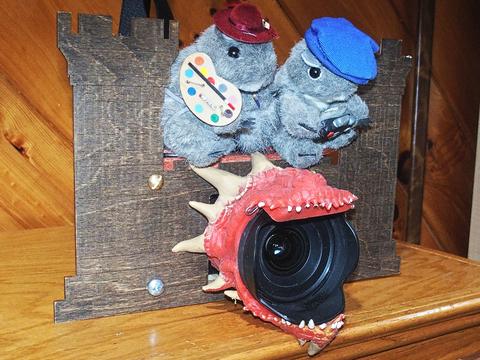 Dragon camera