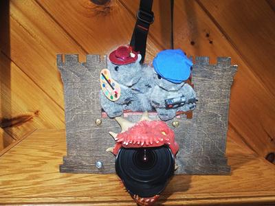 Dragon camera