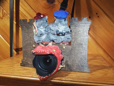 Dragon camera
