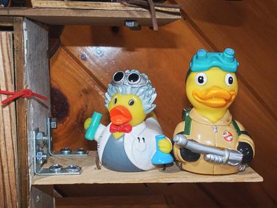 Dr. Quackenstien